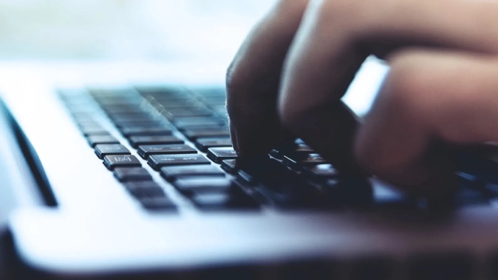 WordPress o PrestaShop: qué plataforma elegir para tu tienda online